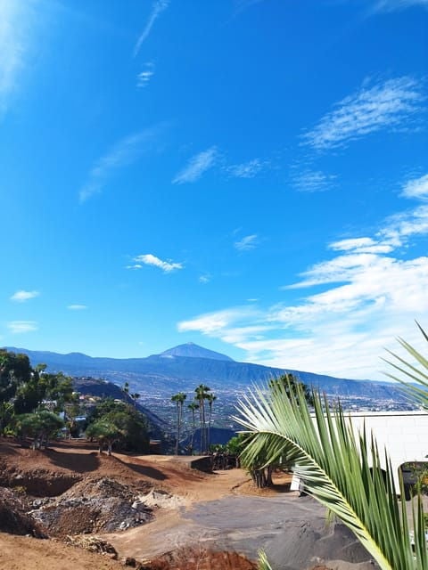 Icod De Los Vinos: Walking Route 1h30 - Discovering the Wine Museum of Malvasia