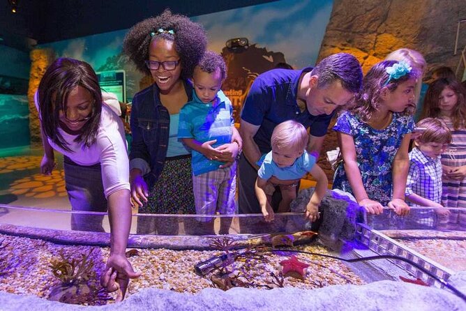 ICON Park Orlando Combo Tickets Florida - Overview and Features