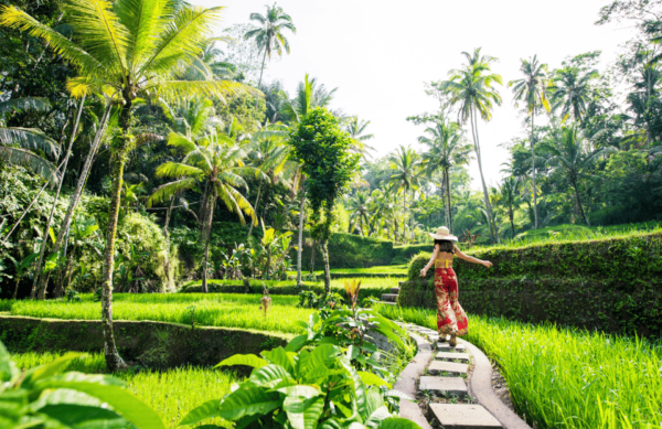 Iconic Bali Day Tour: Best Photo Spots and Experiences - Questions You May Have