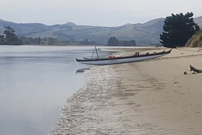 Iconic Dunedin Coastal Tour by Minibus with Maori Cultural Walk - Transportation and Group Size
