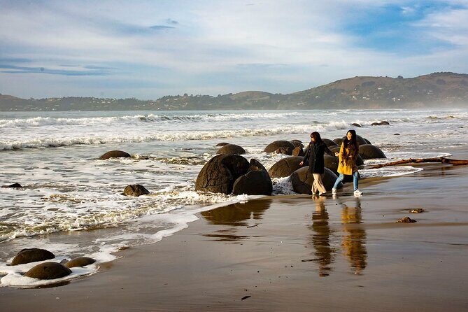 Iconic Dunedin Coastal Tour by Minibus with Maori Cultural Walk - Practical Tips for Travelers