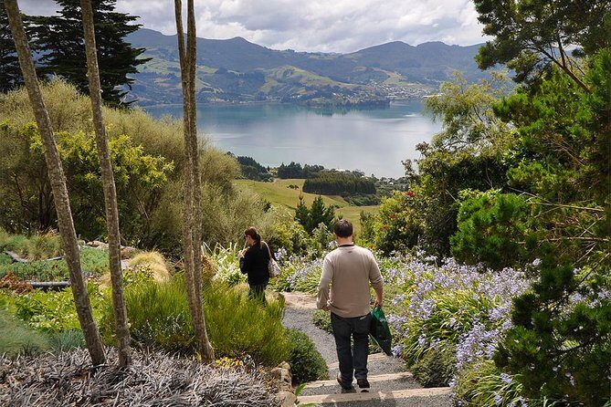 Iconic Shore Excursion: Iconic Larnach Castle Tour - A Detailed Look at the Tour Experience