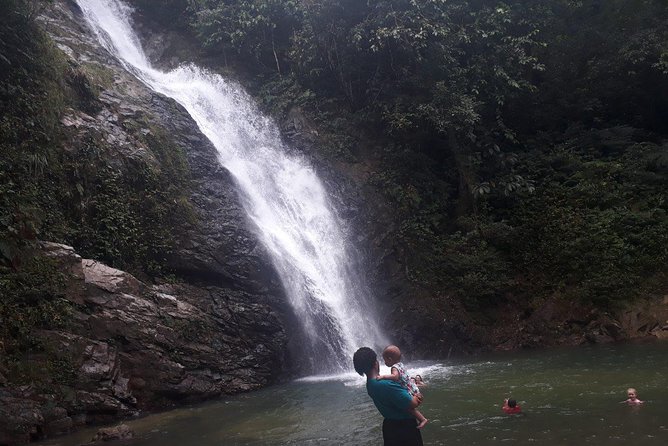 Iconic Waterfall Tour - Rainforest Walk to a Waterfall