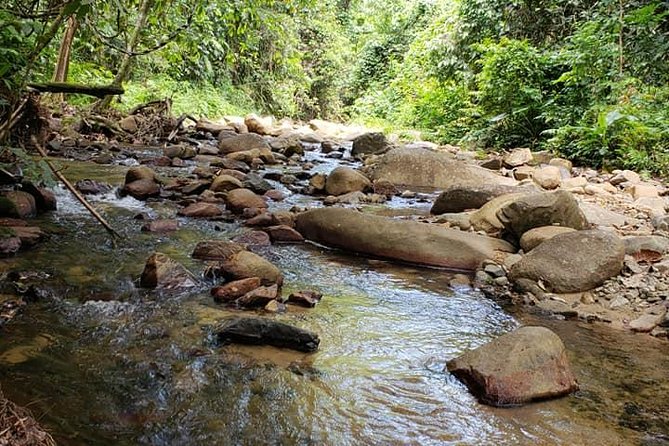 Iconic Waterfall Tour - Relaxation at Natadola Beach