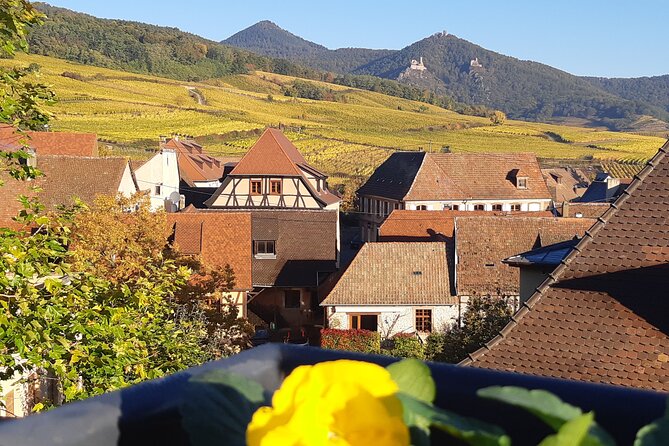 ICONICS Tour: 1/2 Day on the Wine Route, Visit of 2 Villages Tasting. - Tour Details and Itinerary
