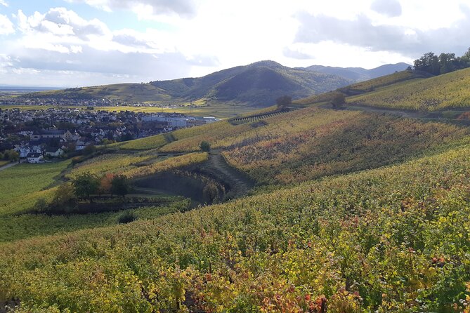 ICONICS Tour: 1/2 Day on the Wine Route, Visit of 2 Villages Tasting. - Discovering Riquewihr Village
