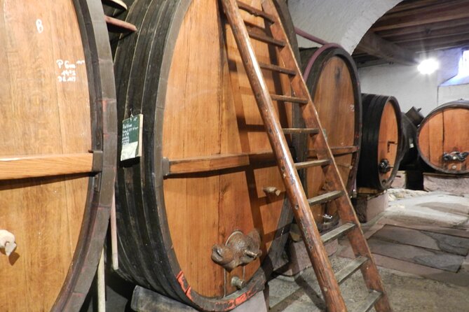 ICONICS Tour: 1/2 Day on the Wine Route, Visit of 2 Villages Tasting. - Exploring Eguisheim Village