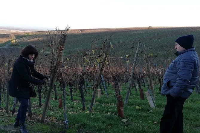 ICONICS Tour: 1/2 Day on the Wine Route, Visit of 2 Villages Tasting. - Traveler Testimonials
