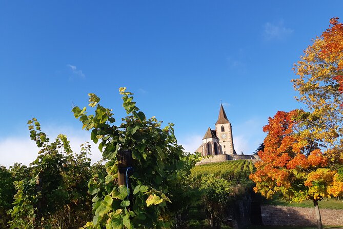 ICONICS Tour: 1/2 Day on the Wine Route, Visit of 2 Villages Tasting. - Harvest Tour and Additional Information