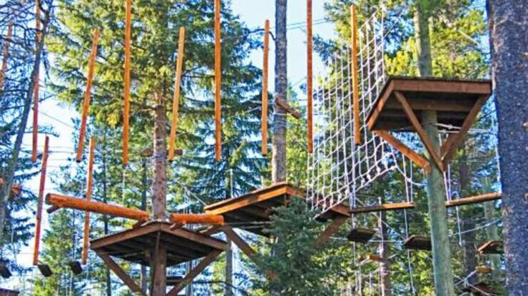 Idaho Springs: SkyTrek Aerial Challenge Course Ticket - Ticket Details