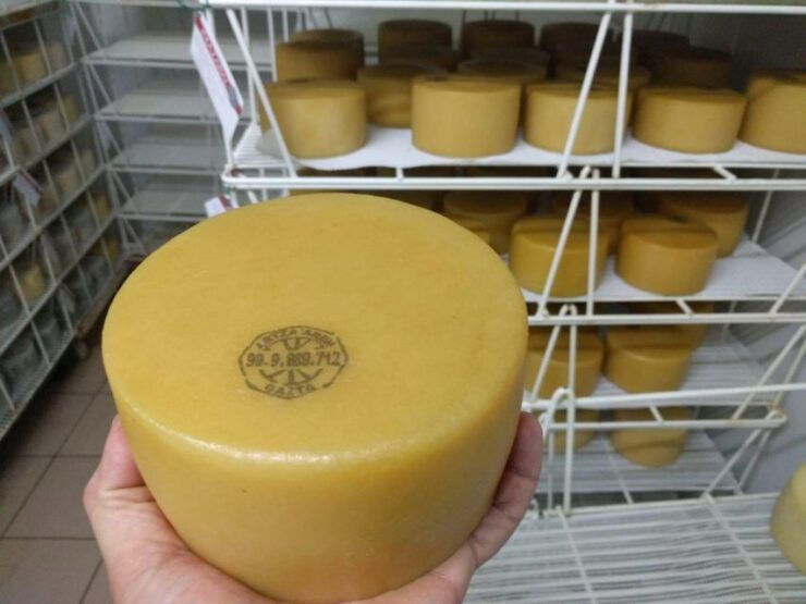 Idiazabal Cheese Tour From San Sebastian - Tour Details