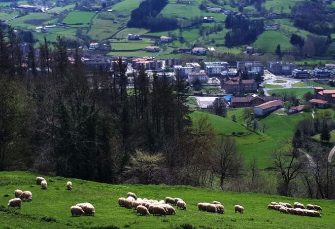 Idiazabal Cheese Tour From San Sebastian - Important Information