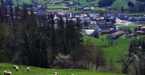 Idiazabal Cheese Tour From San Sebastian - The Sum Up