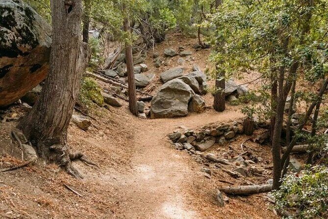 Idyllwild Day Tour - Who Will Love This Experience?