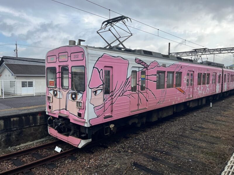 Iga: Full-Day Private and Unique Guided Ninja Experience - Good To Know  