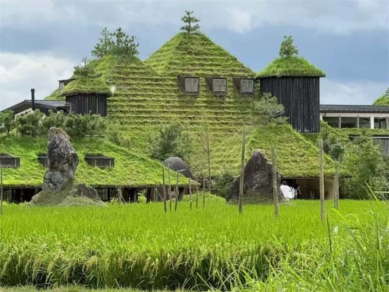 Iga: Lake Biwa Architecture & Miho Museum Day Trip Osaka - Introduction: What’s this tour all about?  