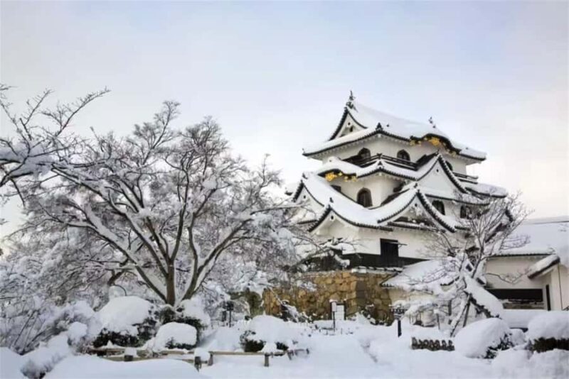 Iga: Lake Biwa Architecture & Miho Museum Day Trip Osaka - Transportation, Group Size, and Overall Value  