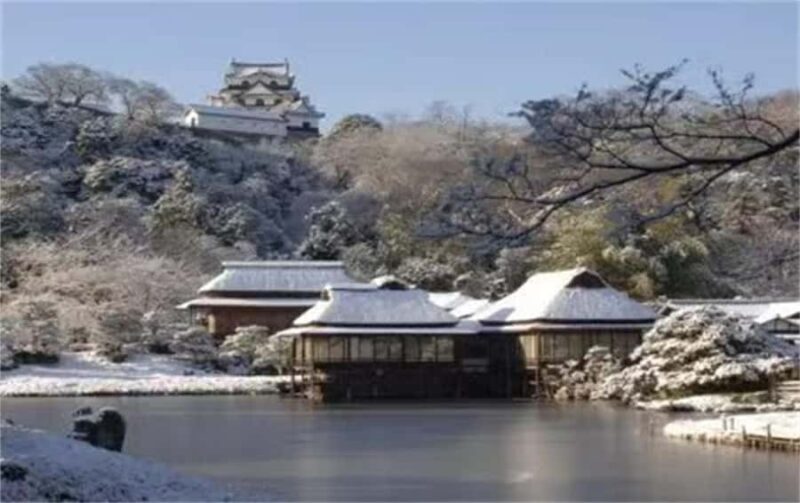 Iga: Lake Biwa Architecture & Miho Museum Day Trip Osaka - Who should book this tour?  