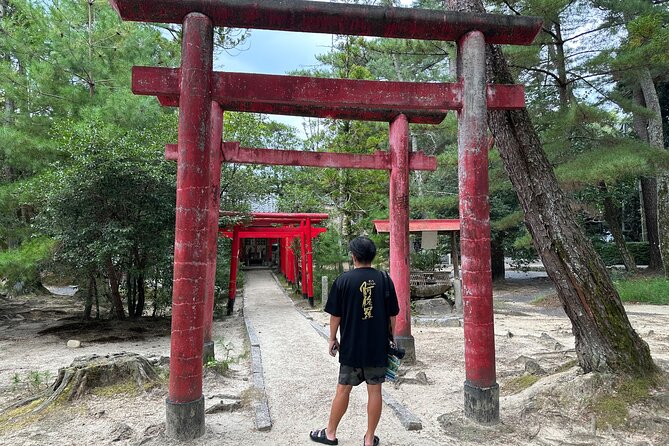 IGA the Birthplace of Ninja With Private Car & Driver (Max 9 Pax) - Accommodation and Airport Transfers