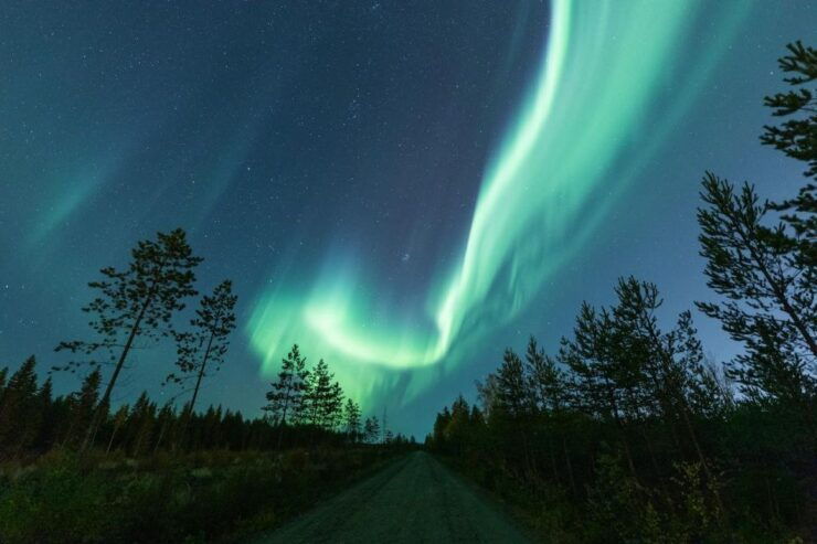 Ii: Snowmobile Sleigh Trip on Frozen Sea Under Starlit Sky - Activity Details