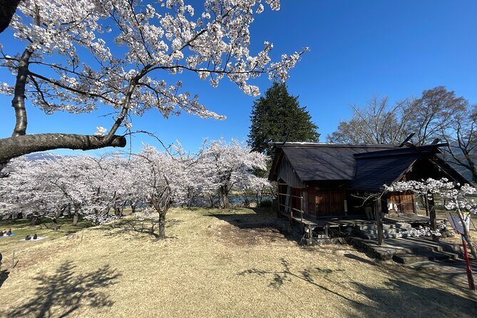 Iiyama Castle Cherry Blossom and Nozawa Onsen Morning Tour - Introduction