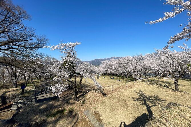 Iiyama Castle Cherry Blossom and Nozawa Onsen Morning Tour - Good To Know