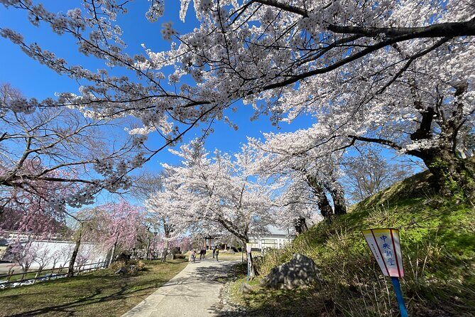 Iiyama Castle Cherry Blossom and Nozawa Onsen Morning Tour - An In-Depth Look at the Tour Experience