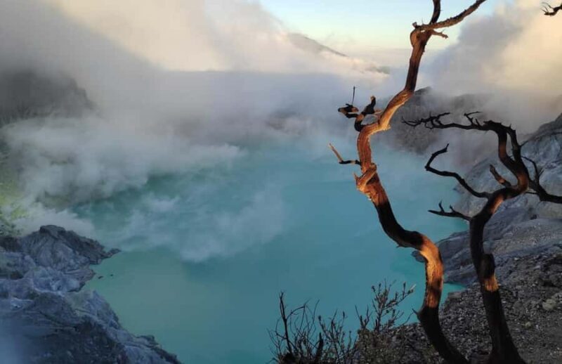 Ijen Blue Fire: Midnight Trek and Sunrise Adventure - The Itinerary: What You Can Expect