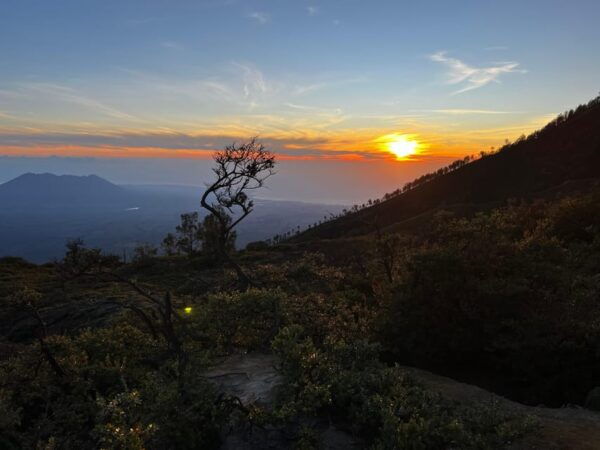 Ijen: Volcano Tour From Bali 24 Hours Blue Fire Exploration - Questions You May Have