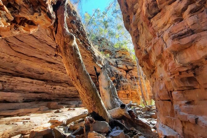 Ikara-Flinders Ranges Hiking Tour - 5 Days - Overview of the Ikara-Flinders Ranges Hiking Tour