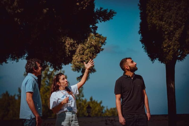 Ikaria Hike: Alama Spring - A Closer Look at the Ikaria Hike Experience