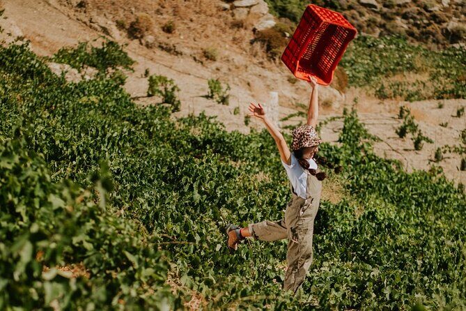 Ikaria, Two Family-run Wineries in a single Day with Pick-Up - Good To Know