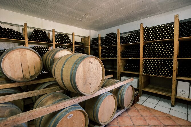 Ikarian Winery Tour With Wine and Food Tasting - Wine Tasting Experience