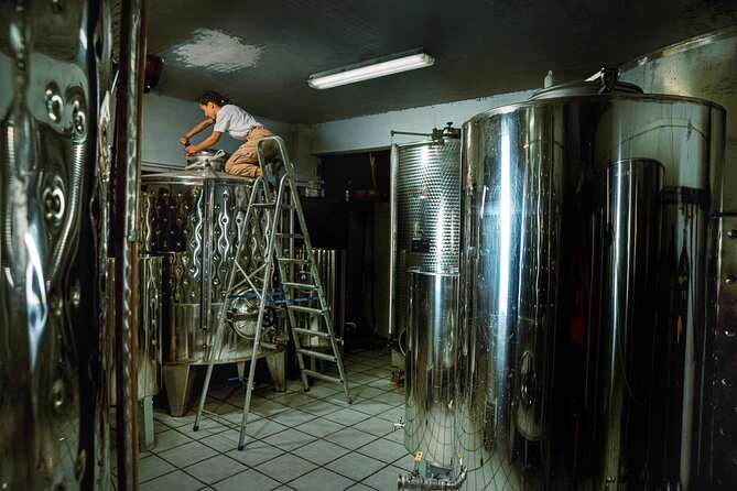 Ikarian Winery Tour With Wine and Food Tasting - Booking and Reservation Details