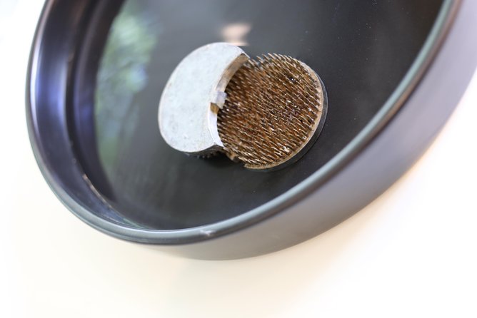 IKEBANA Experience - Tokyo - Cancel 24H Prior & Full Refund - The Sum Up