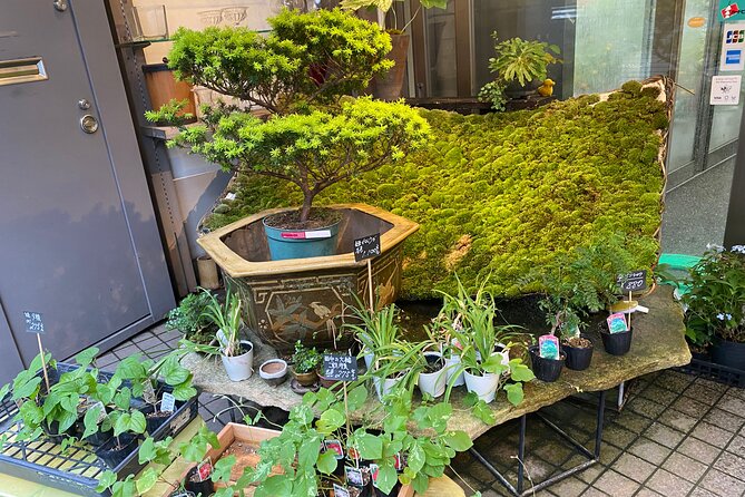 Ikebana Experience Tour at Kyoto - Meeting and Pickup Details