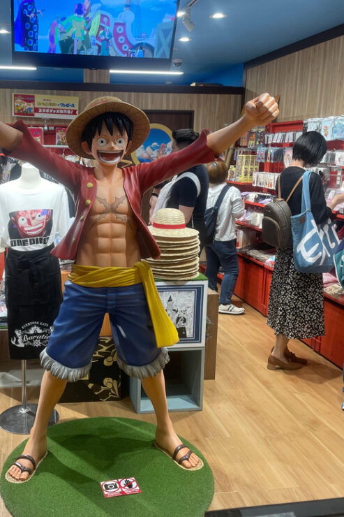 Ikebukuro Anime Culture Shopping and Learning Tour - Experience Highlights