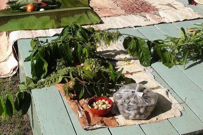 'Ilaheva Private Museum Tour with Tongan Medicine & Tongan Beauty Product - Good To Know
