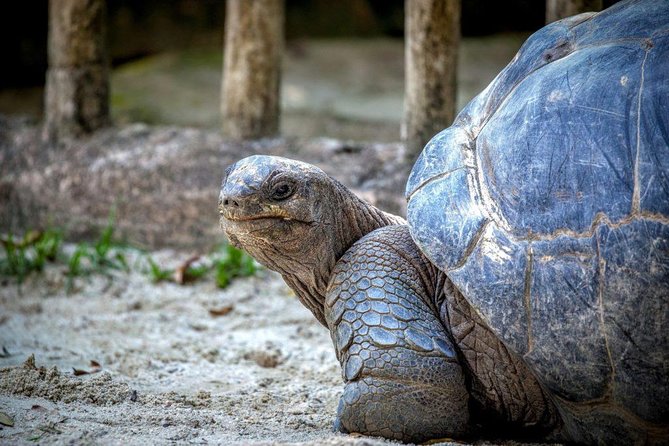 Ile Aux Aigrettes Nature Reserve, Blue Bay Beach, La Vanille Park & Gris Gris - Pricing Information