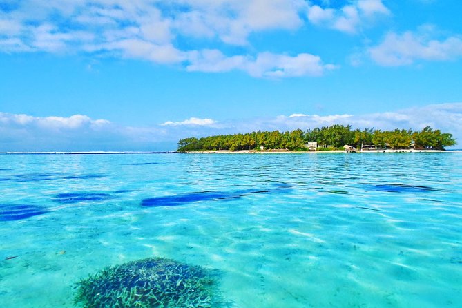 Ile Aux Aigrettes Nature Reserve, Blue Bay Beach, La Vanille Park & Gris Gris - Attractions Overview