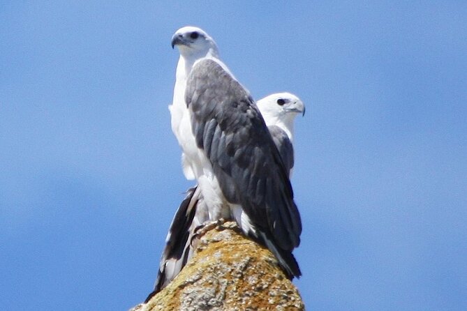 Ile Des Phoques and Maria Island Cruise and Walk Day Tour With Lunch - Booking and Cancellation