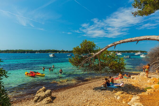 Ile Sainte-Marguerite Ferry & Corniche Dor Cruise Combo From Cannes - Historic Fort Visit