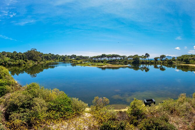 Ile Sainte-Marguerite Ferry & Corniche Dor Cruise Combo From Cannes - Forested Trail Exploration