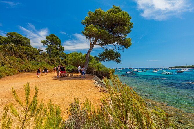 Ile Sainte-Marguerite From Cannes: Self-Guided Tour and Ferry - Viator Help Center and Product Code