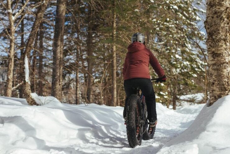 Îles-De-Boucherville: Park Entry With Fat-Bike Rental - Experience Highlights