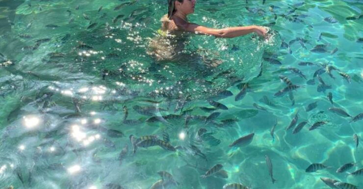 Ilha Grande: Swim With the Little Fish in the Blue and Green Lagoons. - Tour Stops