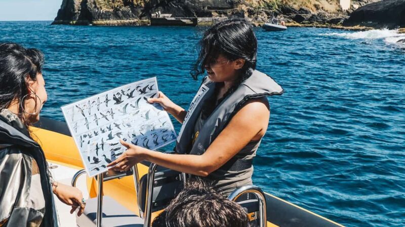 Ilhéu de Vila Franca: Guided Eco Boat Tour with Biologist - Practical Tips for Your Trip