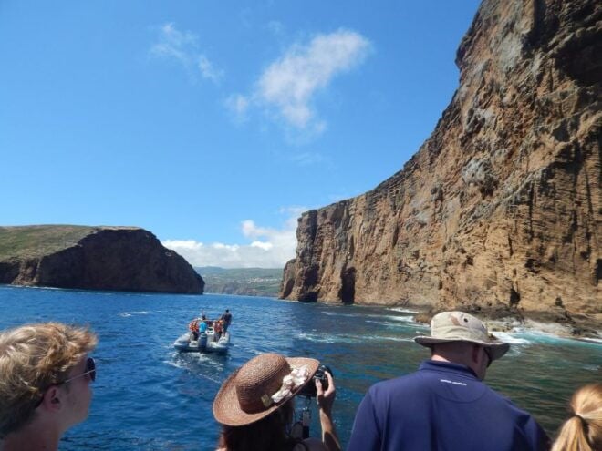 Ilhéus Das Cabras on Terceira Island - Experience Description