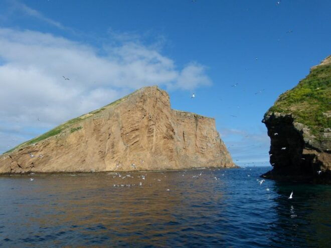 Ilhéus Das Cabras on Terceira Island - Frequently Asked Questions