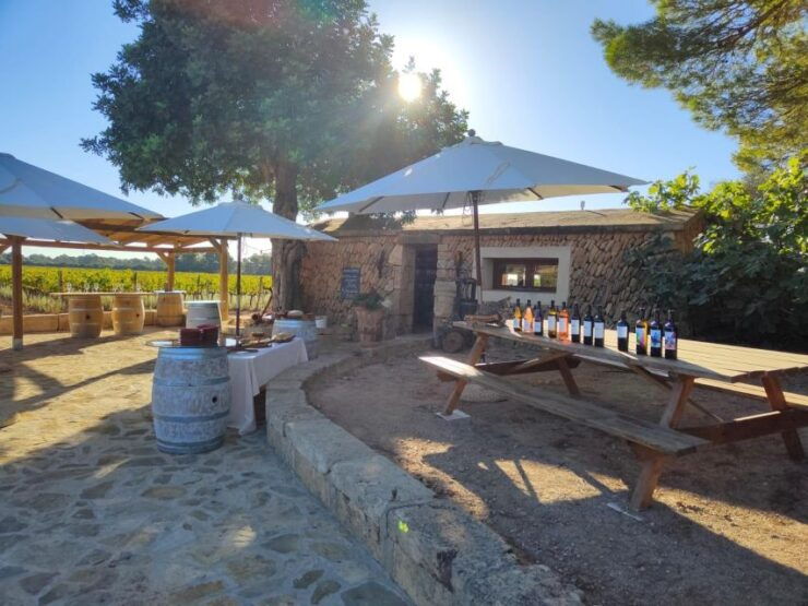 Illes Balears: Bodegas Bordoy Wine Tour With Lunch - Tour Details
